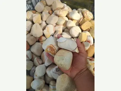 5 – 10 Cm Rainbow Sarı Çizgili Taş küçük görsel 1