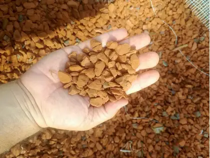 Kırmızı Kırma Taş